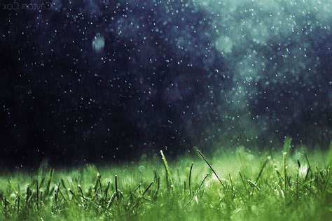 full hd rain wallpaper